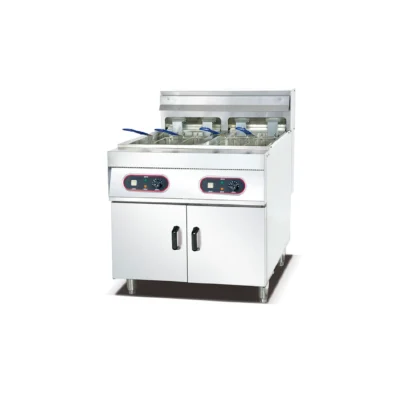 Shop Double Electric Commercial Deep Fryer 2x28L - CaterWize